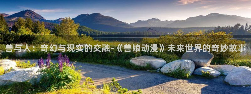 58动漫在线播放