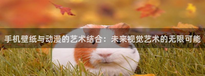 58动漫网的网址