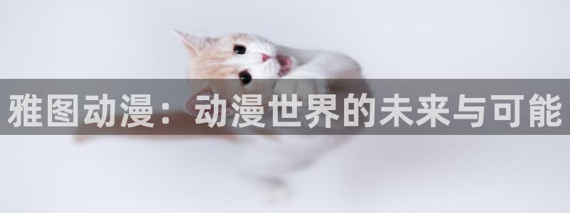 58动漫在线观看