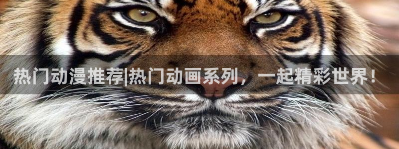 58动漫网站官网免费下载