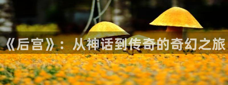 58动漫官网入口