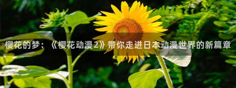 58动漫网观看