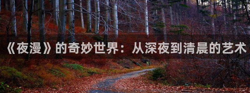 58动漫免费下载